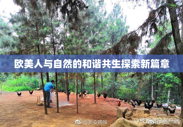 欧美人与自然的和谐共生探索新篇章