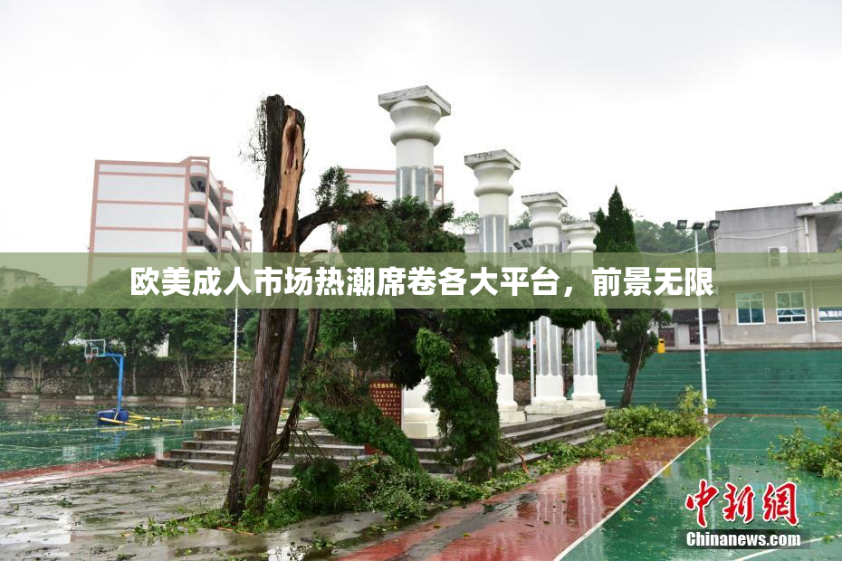 欧美成人市场热潮席卷各大平台，前景无限