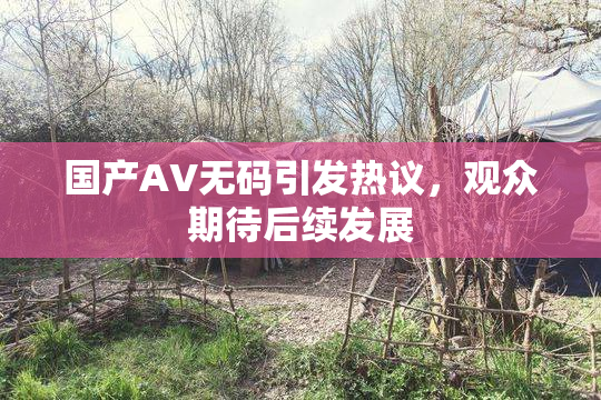 国产AV无码引发热议，观众期待后续发展