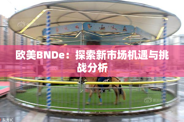 欧美BNDe：探索新市场机遇与挑战分析