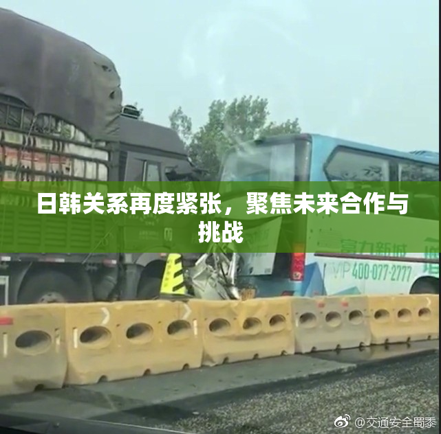 日韩关系再度紧张，聚焦未来合作与挑战