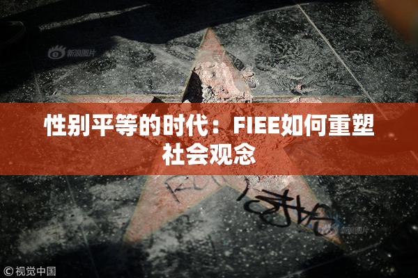 性别平等的时代：FIEE如何重塑社会观念
