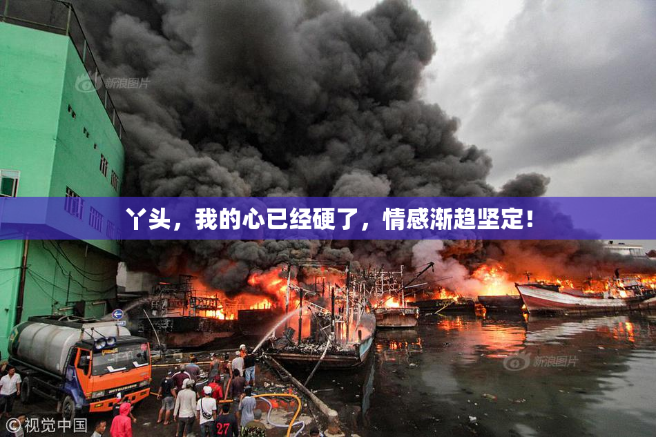 丫头，我的心已经硬了，情感渐趋坚定！
