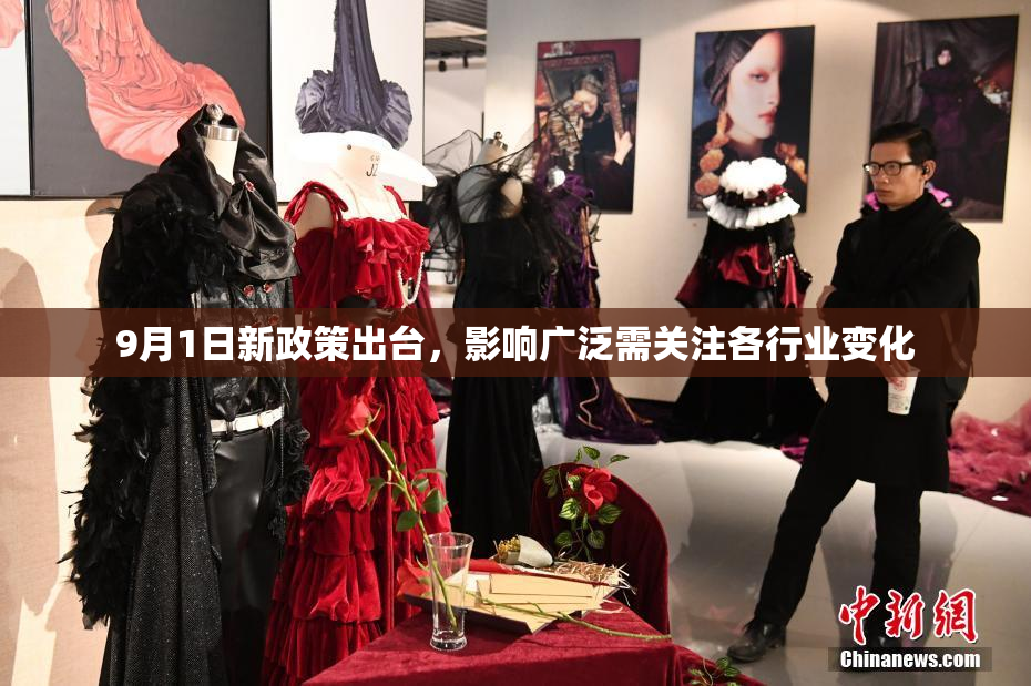 9月1日新政策出台，影响广泛需关注各行业变化