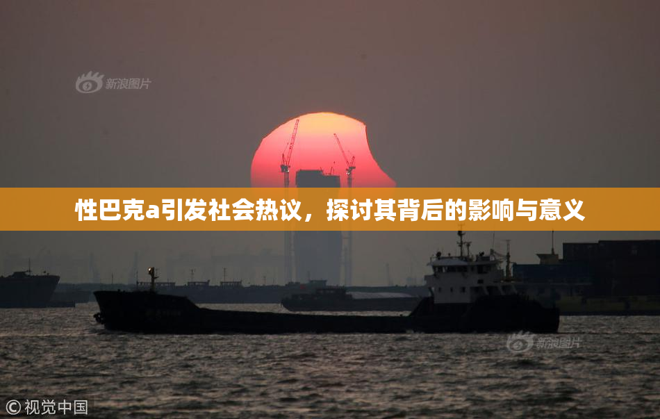 性巴克a引发社会热议，探讨其背后的影响与意义