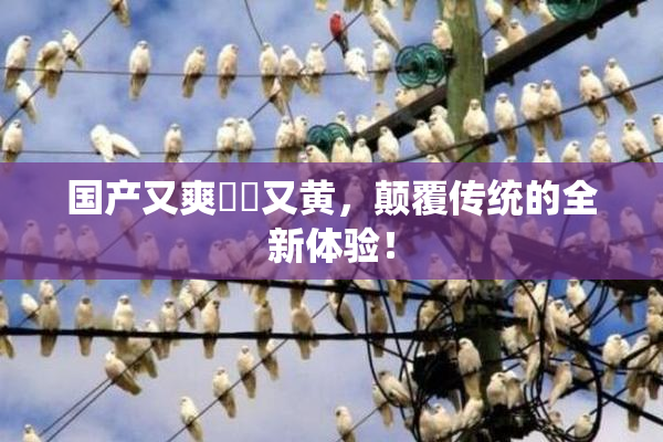 国产又爽❌‌又黄，颠覆传统的全新体验！