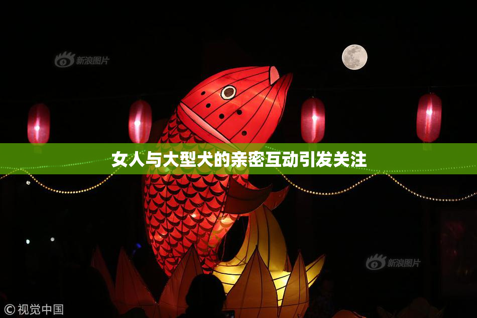 女人与大型犬的亲密互动引发关注