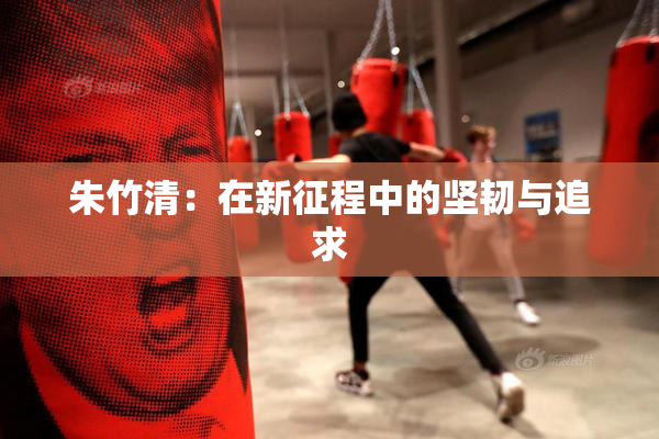 朱竹清：在新征程中的坚韧与追求