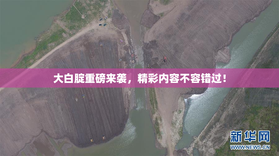 大白腚重磅来袭，精彩内容不容错过！