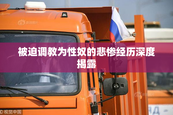 被迫调教为性奴的悲惨经历深度揭露