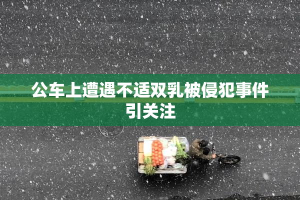 公车上遭遇不适双乳被侵犯事件引关注