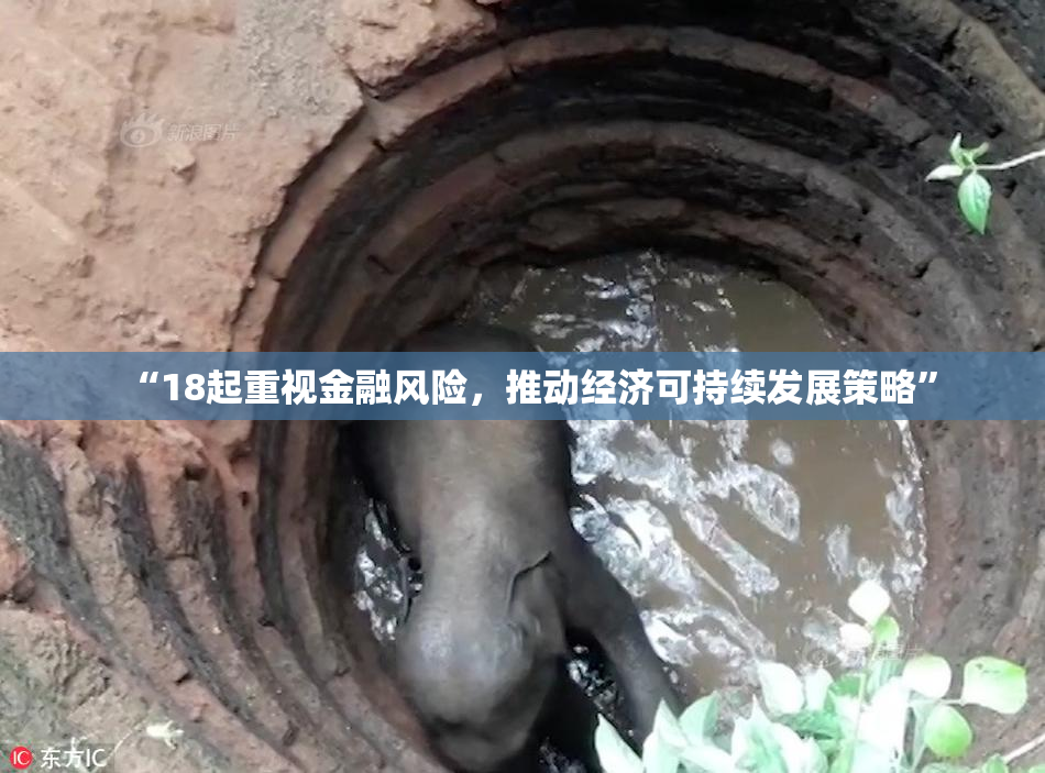 “18起重视金融风险，推动经济可持续发展策略”