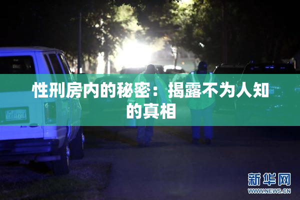 性刑房内的秘密：揭露不为人知的真相