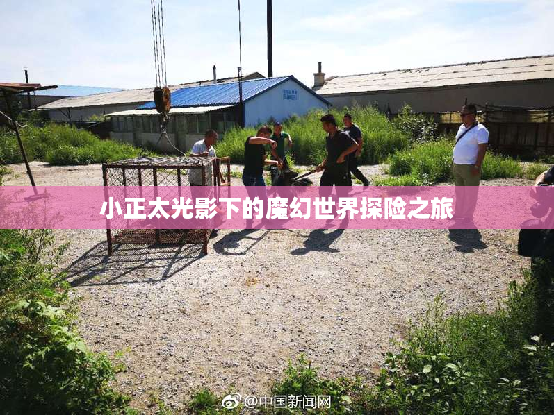 小正太光影下的魔幻世界探险之旅
