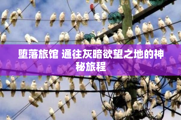 堕落旅馆 通往灰暗欲望之地的神秘旅程
