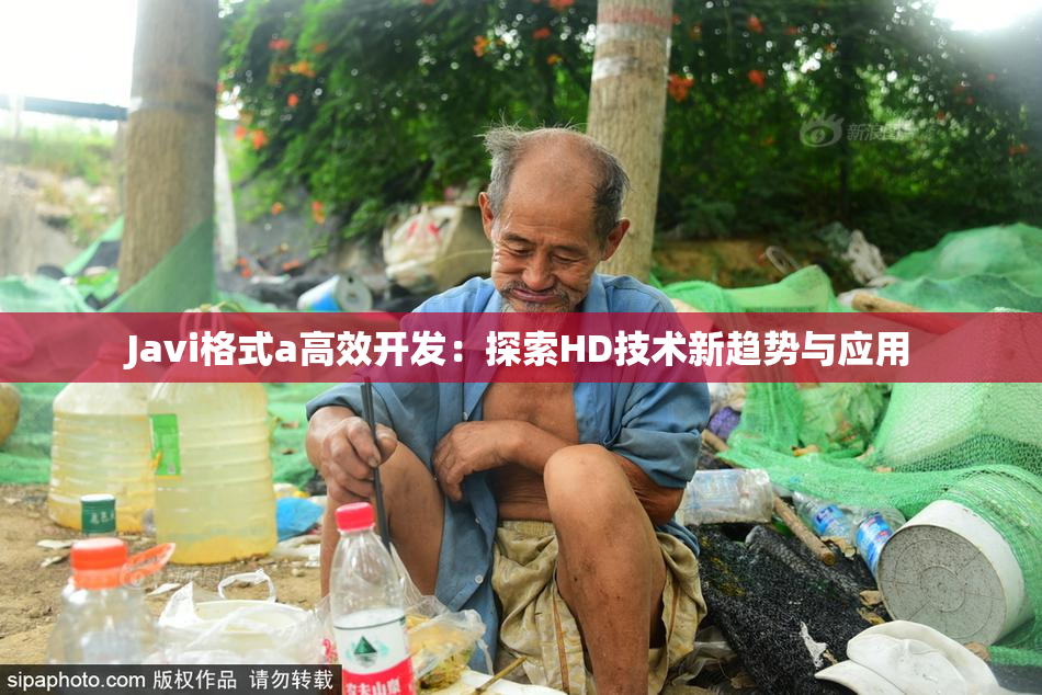 Javi格式a高效开发：探索HD技术新趋势与应用