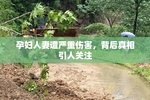 孕妇人妻遭严重伤害，背后真相引人关注