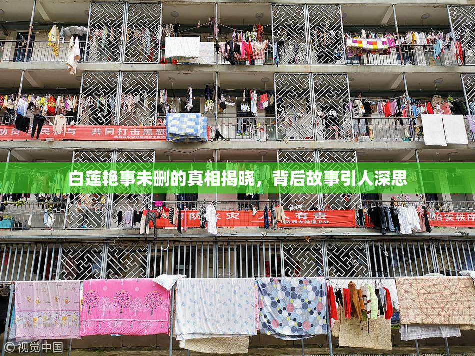 白莲艳事未删的真相揭晓，背后故事引人深思