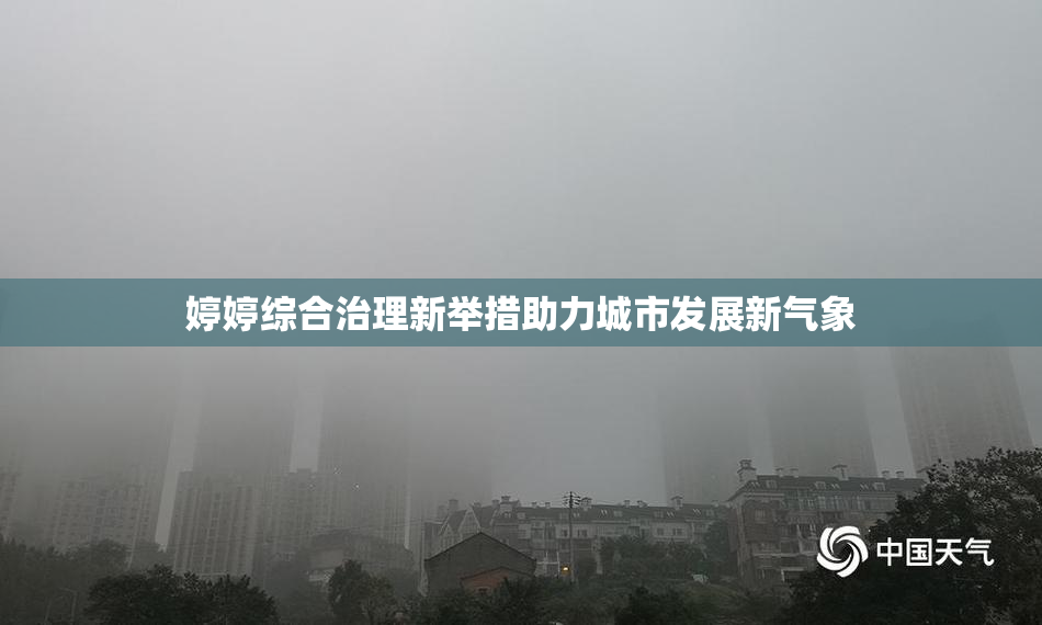 婷婷综合治理新举措助力城市发展新气象
