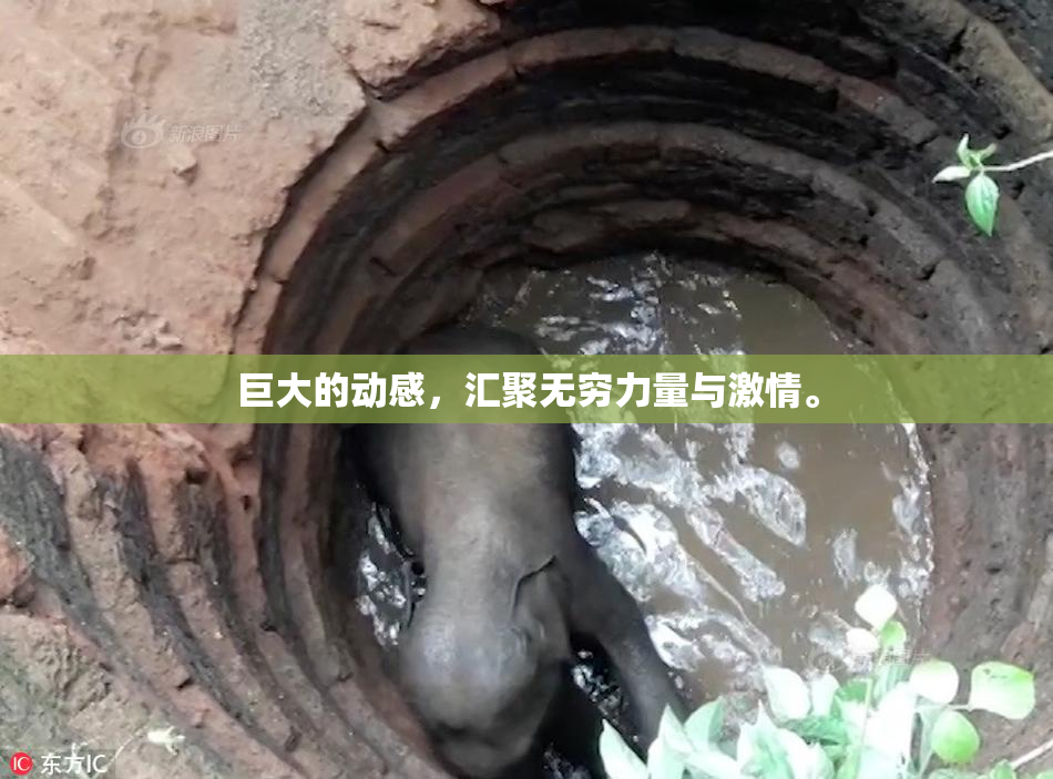 巨大的动感，汇聚无穷力量与激情。