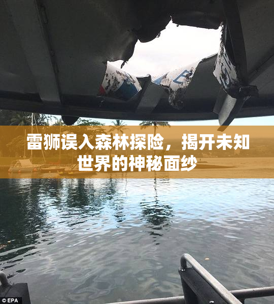 雷狮误入森林探险，揭开未知世界的神秘面纱