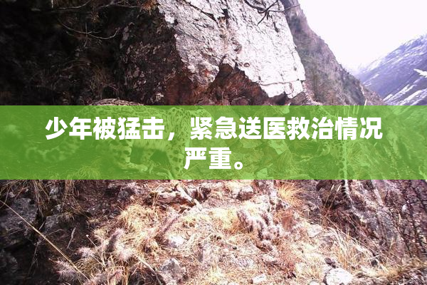 少年被猛击，紧急送医救治情况严重。