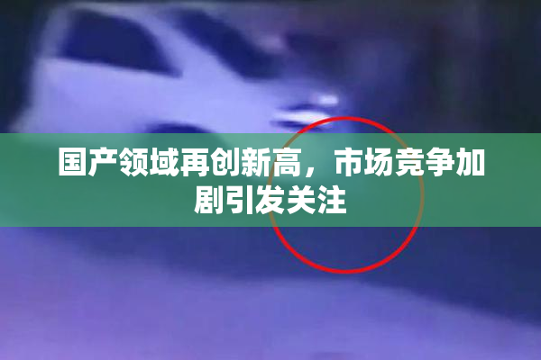 国产领域再创新高，市场竞争加剧引发关注