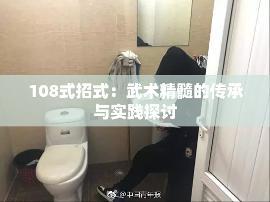 108式招式：武术精髓的传承与实践探讨