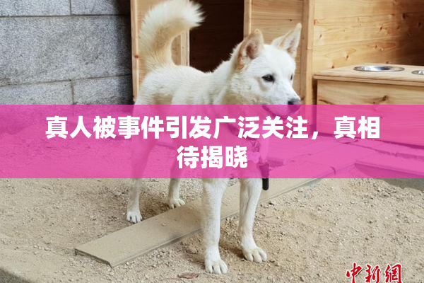 真人被事件引发广泛关注，真相待揭晓