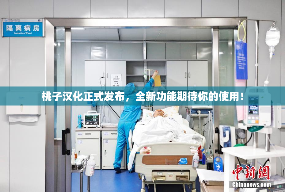 桃子汉化正式发布，全新功能期待你的使用！