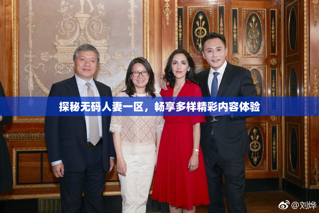 探秘无码人妻一区，畅享多样精彩内容体验