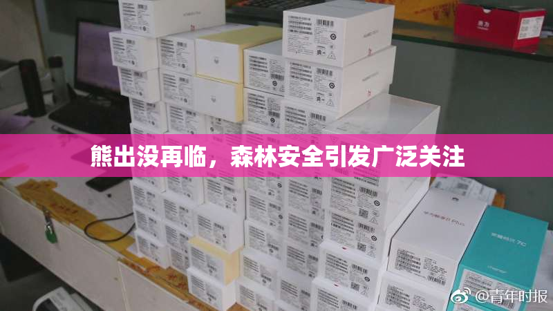 熊出没再临，森林安全引发广泛关注