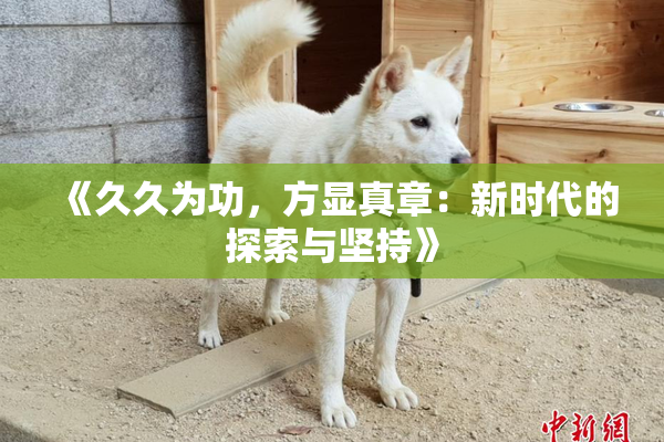 《久久为功，方显真章：新时代的探索与坚持》
