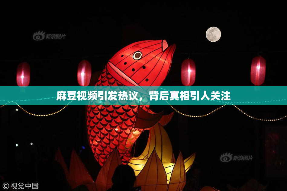麻豆视频引发热议，背后真相引人关注