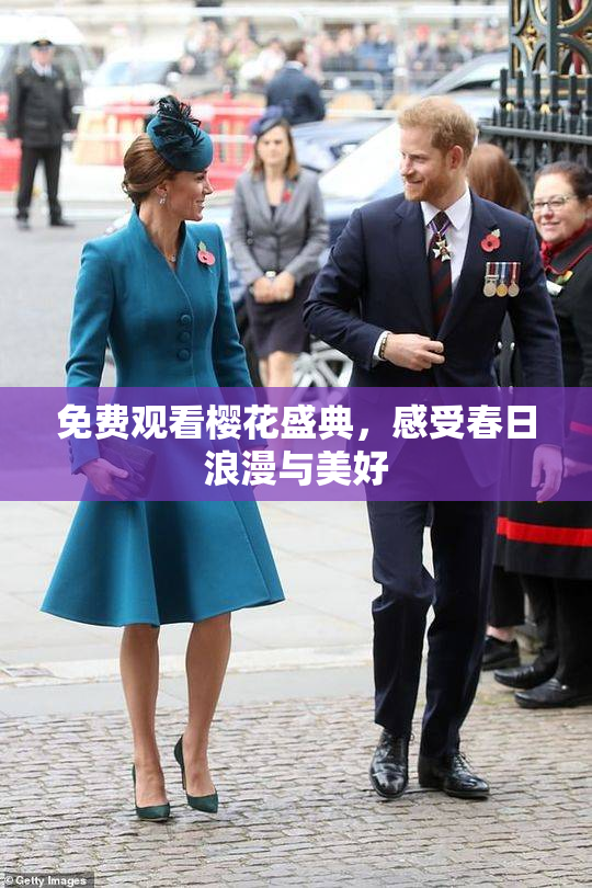 免费观看樱花盛典，感受春日浪漫与美好