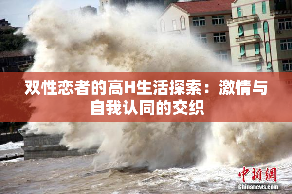 双性恋者的高H生活探索：激情与自我认同的交织