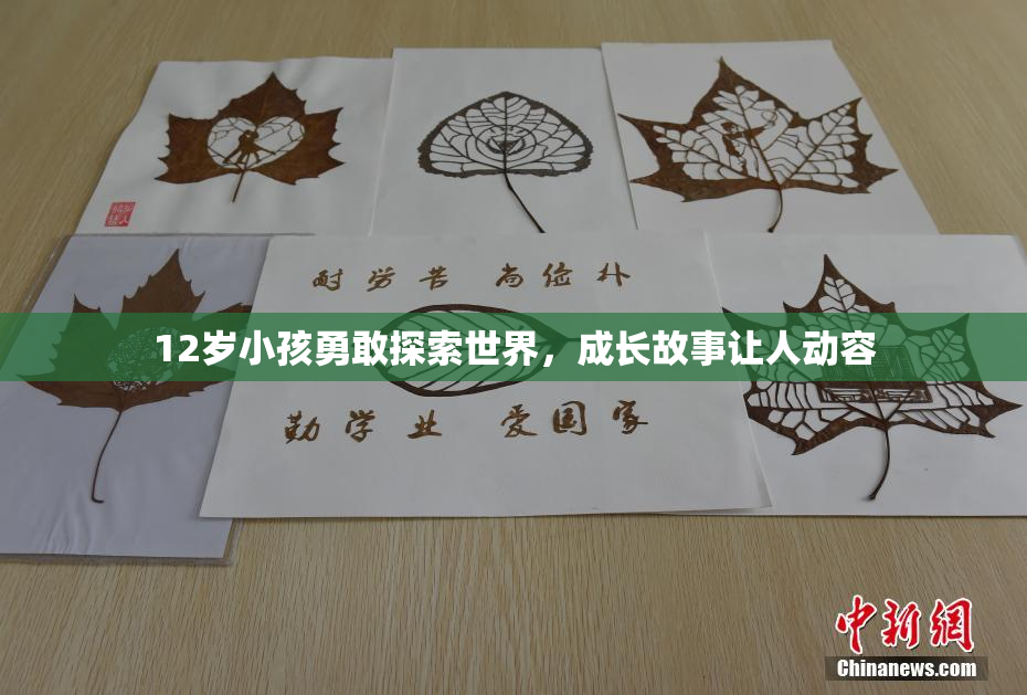 12岁小孩勇敢探索世界，成长故事让人动容