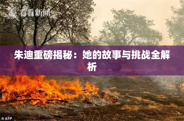 朱迪重磅揭秘：她的故事与挑战全解析