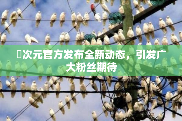 囧次元官方发布全新动态，引发广大粉丝期待