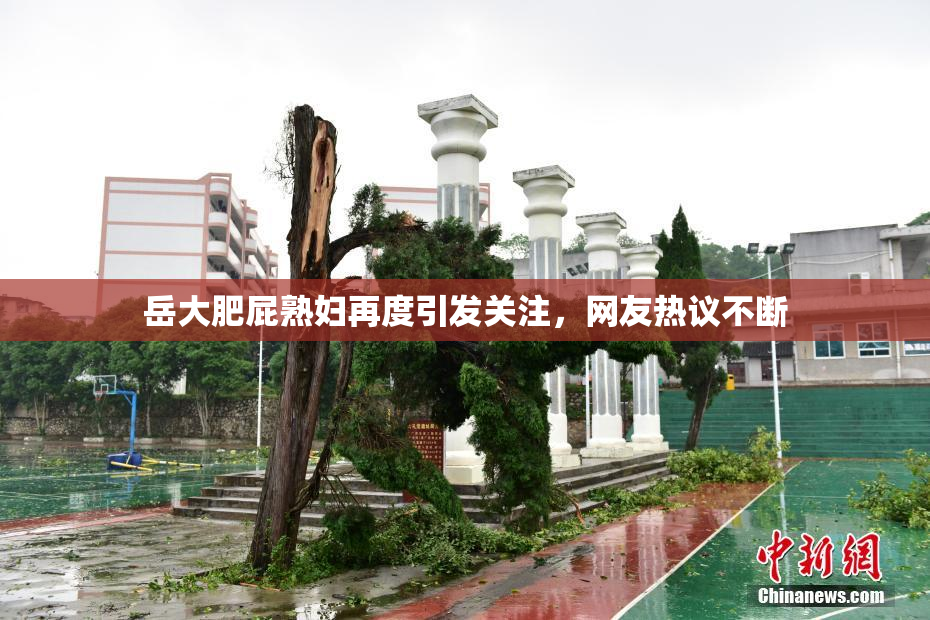 岳大肥屁熟妇再度引发关注，网友热议不断