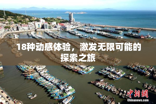 18种动感体验，激发无限可能的探索之旅