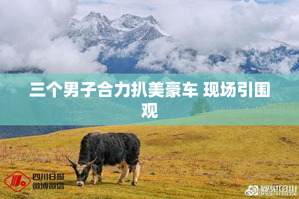 三个男子合力扒美豪车 现场引围观