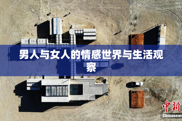 男人与女人的情感世界与生活观察