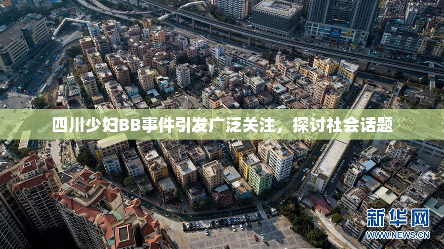 四川少妇BB事件引发广泛关注，探讨社会话题