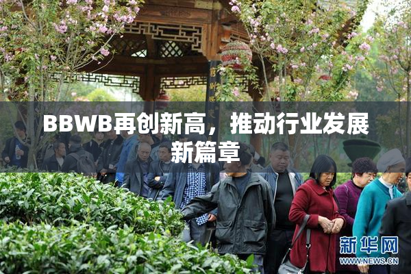 BBWB再创新高，推动行业发展新篇章