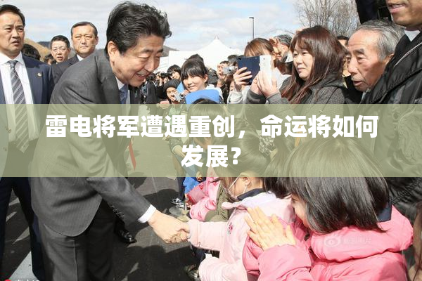 雷电将军遭遇重创，命运将如何发展？