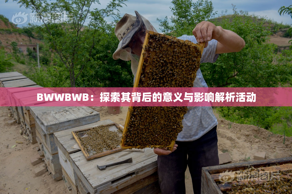 BWWBWB：探索其背后的意义与影响解析活动