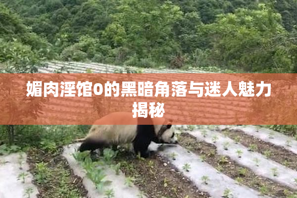 媚肉淫馆0的黑暗角落与迷人魅力揭秘