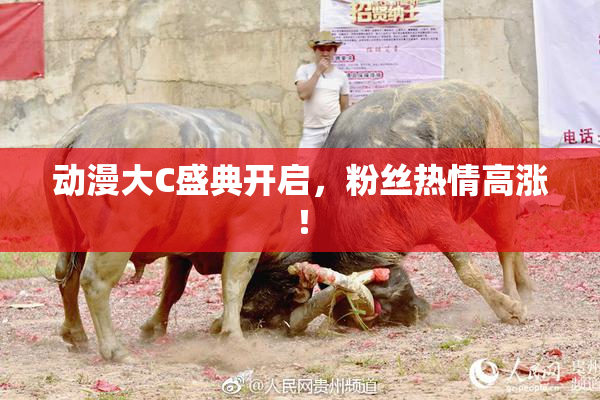 动漫大C盛典开启，粉丝热情高涨！