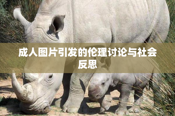 成人图片引发的伦理讨论与社会反思